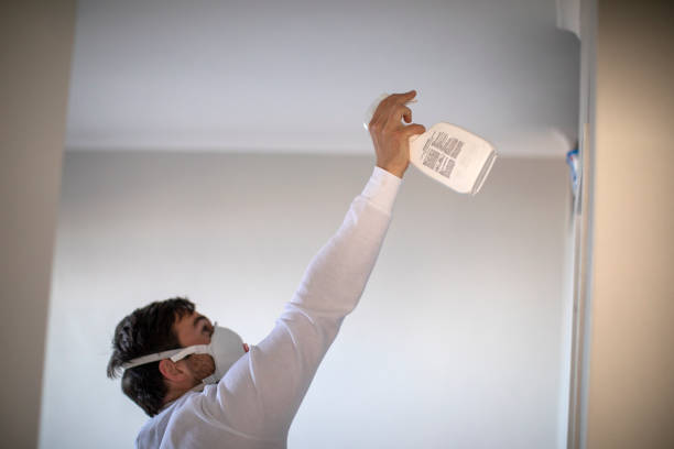 Best Attic Mold Removal  in Latta, SC